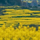 昆明旅游 缩略图 2