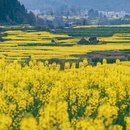 昆明旅游 缩略图 3