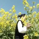 昆明旅游 缩略图 4