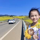 昆明旅游 缩略图 5