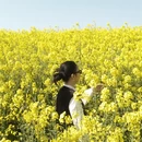 昆明旅游 缩略图 10