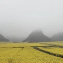 遵义旅游 缩略图 11