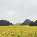 遵义旅游 缩略图 8