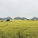 遵义旅游 缩略图 9