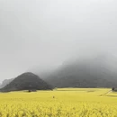 遵义旅游 缩略图 10