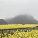 遵义旅游 缩略图 12