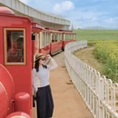 曲靖旅游 缩略图 4