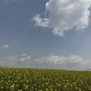 曲靖旅游 缩略图 11