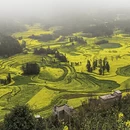 昆明旅游 缩略图 2