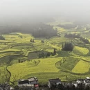 昆明旅游 缩略图 3