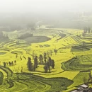 昆明旅游 缩略图 1