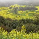 昆明旅游 缩略图 5
