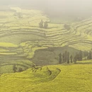 昆明旅游 缩略图 7
