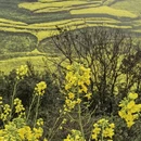 昆明旅游 缩略图 6