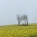 昆明旅游 缩略图 11