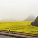 昆明旅游 缩略图 14