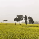 昆明旅游 缩略图 12