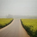 昆明旅游 缩略图 13