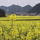 黔西南旅游 缩略图 8