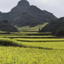 黔西南旅游 缩略图 6