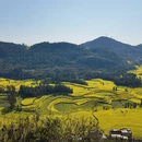 黔西南旅游 缩略图 9