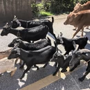 黔西南旅游 缩略图 13