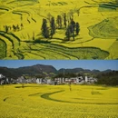 曲靖旅游 缩略图 1