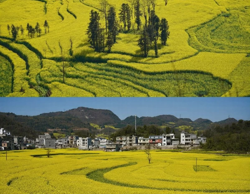 曲靖旅游 1