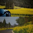 曲靖旅游 缩略图 6