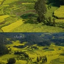 曲靖旅游 缩略图 5