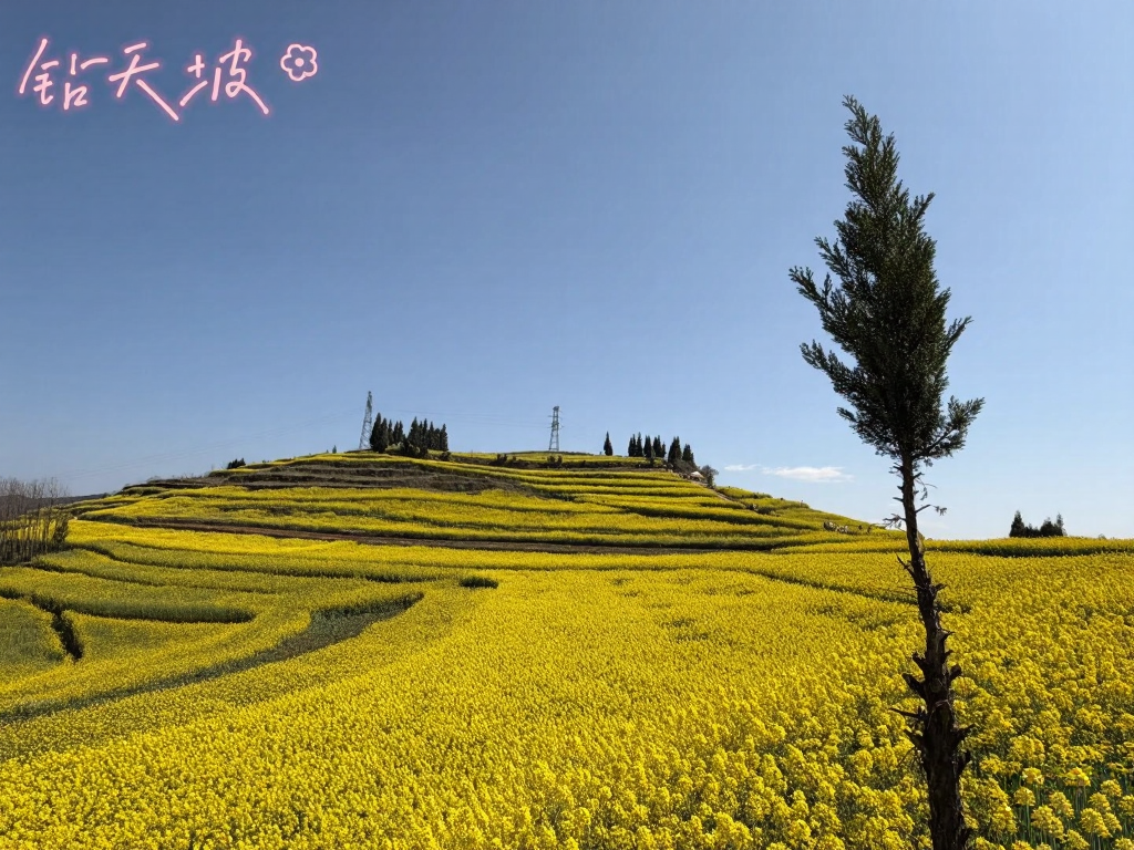 昆明旅游
