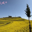 昆明旅游 缩略图 1