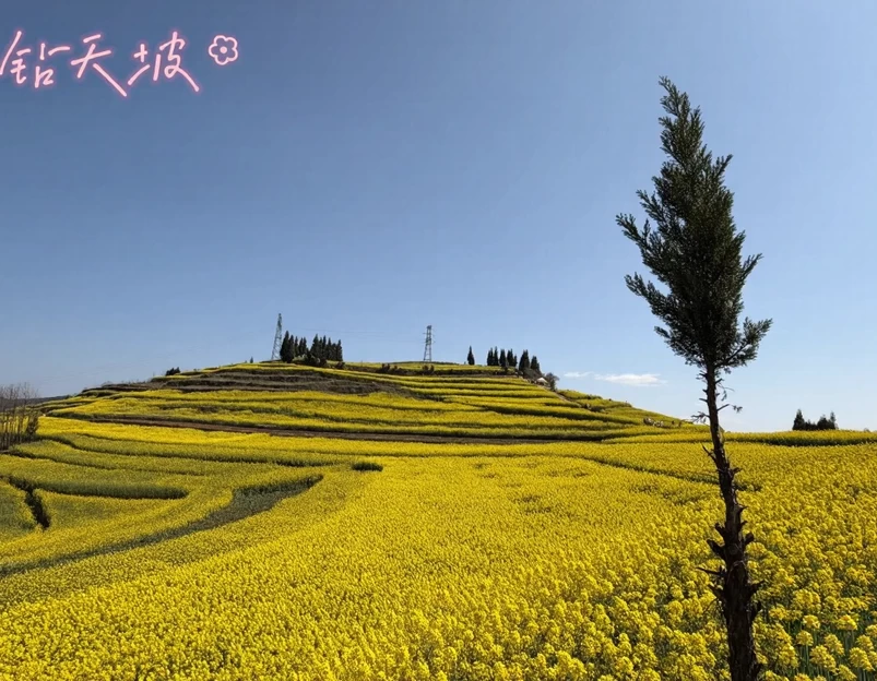 昆明旅游 1