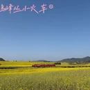 昆明旅游 缩略图 5