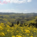 昆明旅游 缩略图 6