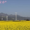 昆明旅游 缩略图 8