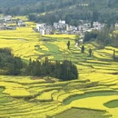 昆明旅游 缩略图 2