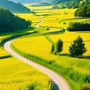 昆明旅游 缩略图 5
