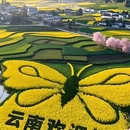 昆明旅游 缩略图 3