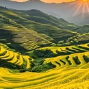昆明旅游 缩略图 8
