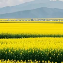昆明旅游 缩略图 2