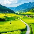 昆明旅游 缩略图 7