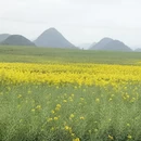 曲靖旅游 缩略图 7