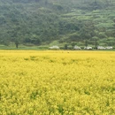 昆明旅游 缩略图 1