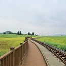 昆明旅游 缩略图 4