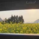 保山旅游 缩略图 1