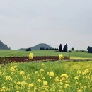 昆明旅游 缩略图 6