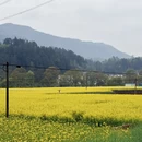 昆明旅游 缩略图 8