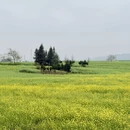 昆明旅游 缩略图 7