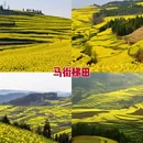 曲靖旅游 缩略图 6